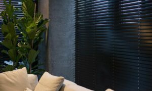 Black wooden venetian blinds in a grey room with a large green plant and a cream sofa