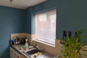 A set of blinds set up on a window sill underneath a sink.