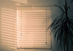 Cream wooden Venetian blinds closed over a window, set against a cream wall with a tall potted plant to the right of the frame.