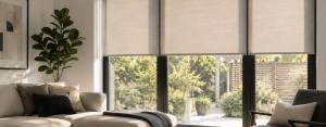 High-quality roller blinds installed in a south-facing living room to reduce glare, improve privacy and manage natural sunlight.
