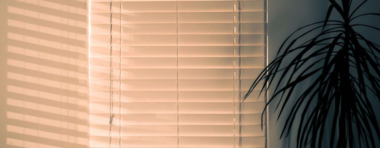 Cream wooden Venetian blinds closed over a window, set against a cream wall with a tall potted plant to the right of the frame.